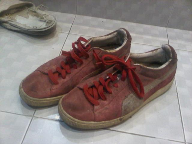 Name:  IMG-20121030-01009.jpg
Views: 314
Size:  29.9 KB