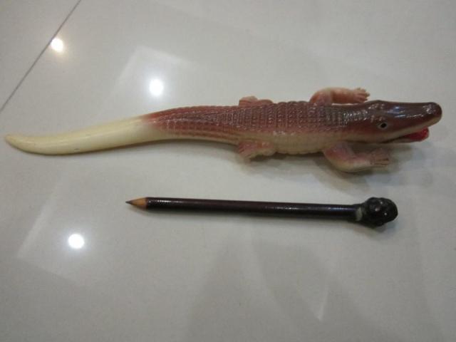 Name:  021.jpg
Views: 1280
Size:  19.1 KB