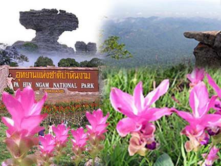 Name:  403556_3783526594955_1817008480_n.jpg
Views: 205
Size:  32.6 KB