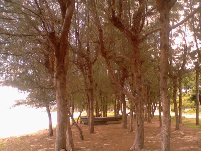 Name:  Photo-0118.jpg
Views: 97
Size:  61.2 KB