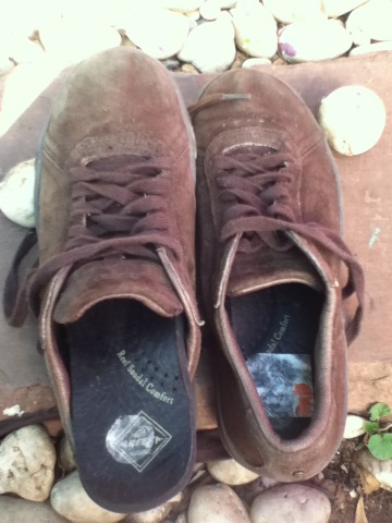 Name:  ٻҾ 1.JPG
Views: 271
Size:  64.7 KB