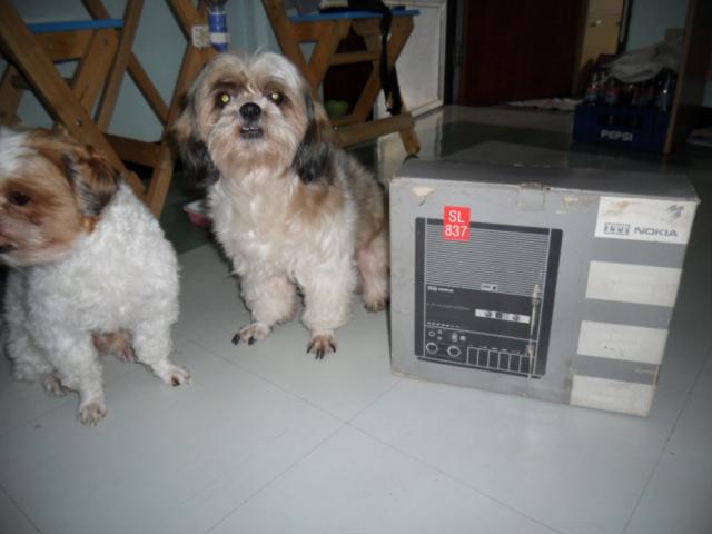 Name:  SAM_2685.jpg
Views: 158
Size:  30.0 KB