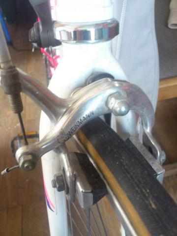 Name:  DSC_4646-001.jpg
Views: 387
Size:  22.0 KB