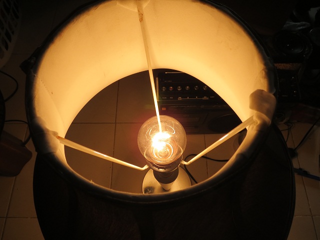 Name:  IMG_7166.JPG
Views: 429
Size:  77.4 KB