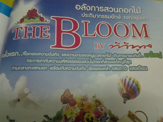 Name:  20121118_222620.jpg
Views: 110
Size:  41.6 KB