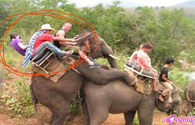 Name:  Untitled-1.jpg
Views: 331
Size:  43.5 KB