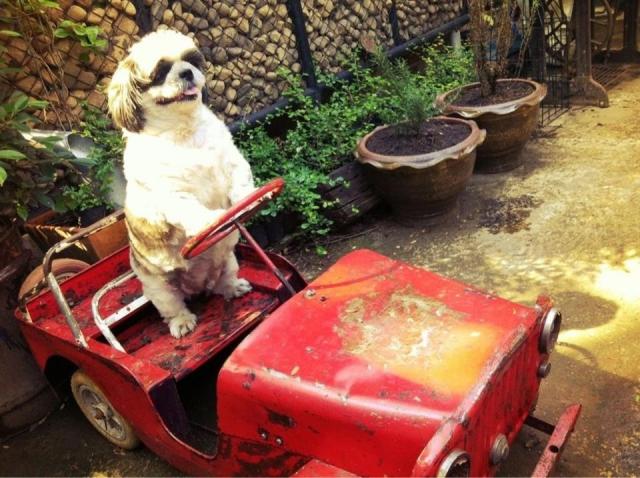 Name:  image.jpg
Views: 1137
Size:  63.5 KB