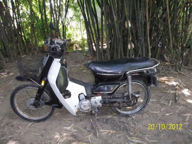 Name:  100_2733.jpg
Views: 619
Size:  70.5 KB