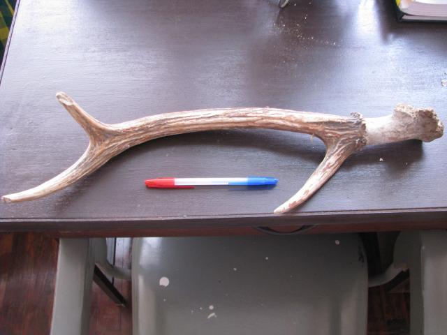 Name:  IMG_2554.jpg
Views: 461
Size:  35.0 KB