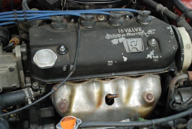 Name:  DSC_4147.jpg
Views: 1765
Size:  42.1 KB