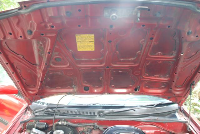 Name:  DSC_4151.jpg
Views: 1745
Size:  41.1 KB