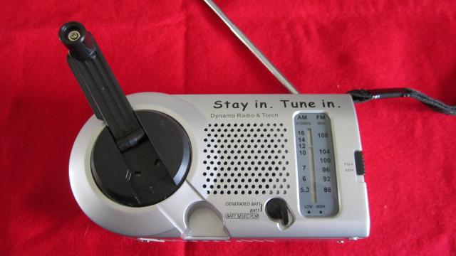 Name:  IMG_0896[1].jpg
Views: 1091
Size:  30.4 KB