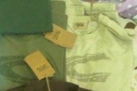 Name:  IMG14492-20121203-1742-crop.jpg
Views: 293
Size:  25.5 KB
