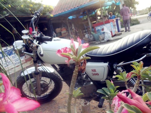 Name:  DSC05316_??.jpg
Views: 3085
Size:  56.5 KB