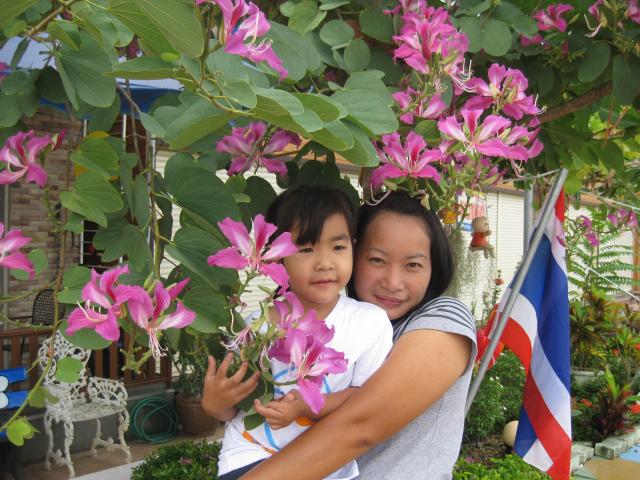 Name:  IMG_1977.jpg
Views: 254
Size:  66.0 KB