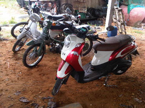 Name:  Bang Sai-20121121-01481.jpg
Views: 806
Size:  44.2 KB