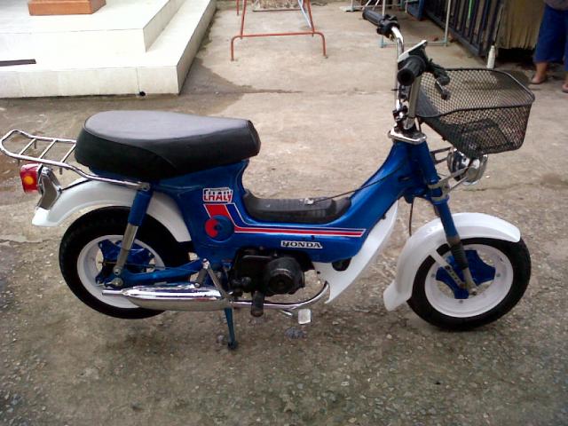 Name:  Khok Mai Lai-20120812-00377_??.jpg
Views: 418
Size:  55.8 KB