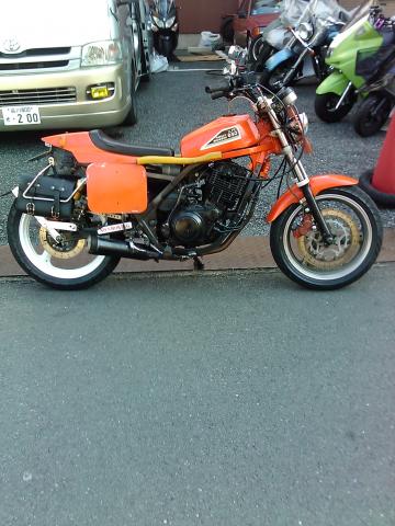 Name:  IMGA5318.jpg
Views: 233
Size:  37.2 KB