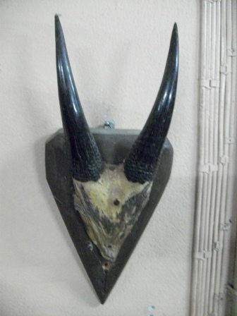 Name:  SANY7365.JPG
Views: 2111
Size:  56.0 KB