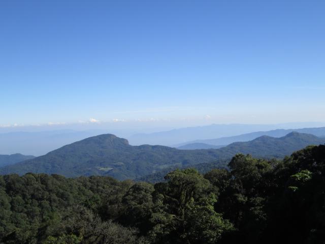 Name:  IMG_0292.jpg
Views: 469
Size:  26.0 KB