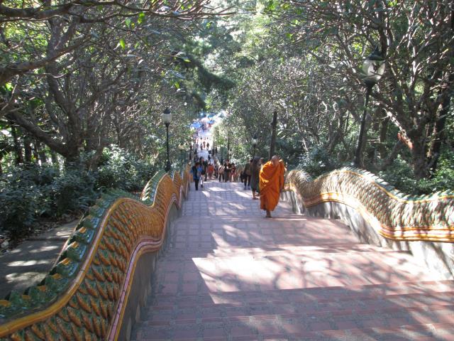 Name:  IMG_0493.jpg
Views: 485
Size:  81.8 KB