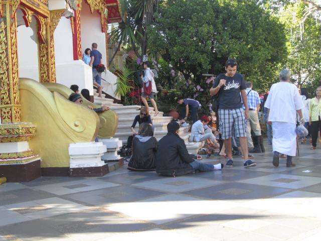 Name:  IMG_0489.jpg
Views: 495
Size:  59.6 KB