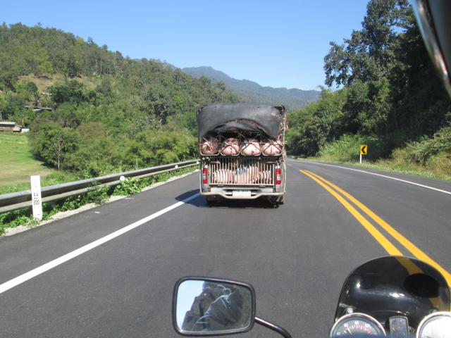 Name:  IMG_0518.jpg
Views: 519
Size:  51.1 KB