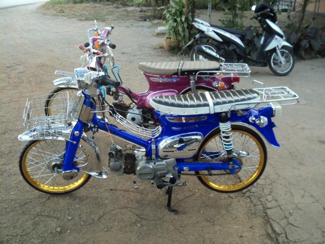 Name:  DSC05169.jpg
Views: 82918
Size:  62.4 KB
