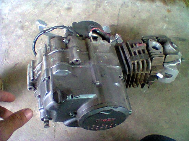 Name:  487020_454569574601495_1513856029_n.jpg
Views: 423
Size:  57.6 KB