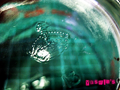 Name:  IMG_8316.JPG
Views: 534
Size:  64.8 KB