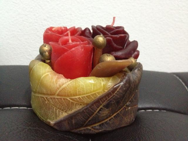 Name:  IMG_6157[1].jpg
Views: 472
Size:  38.2 KB