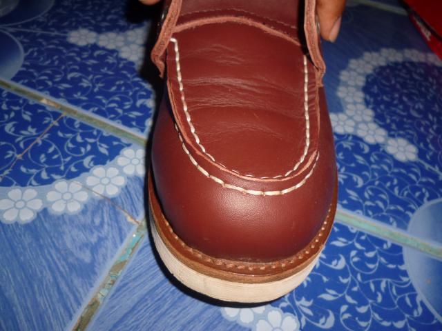 Name:  P1000310.jpg
Views: 400
Size:  47.1 KB