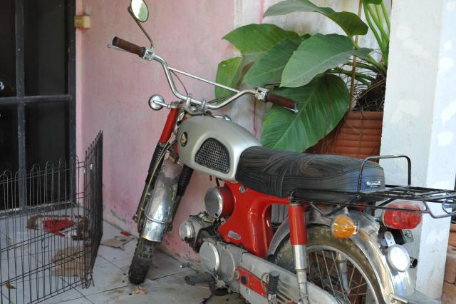 Name:  AMN_6725.jpg
Views: 1595
Size:  47.1 KB