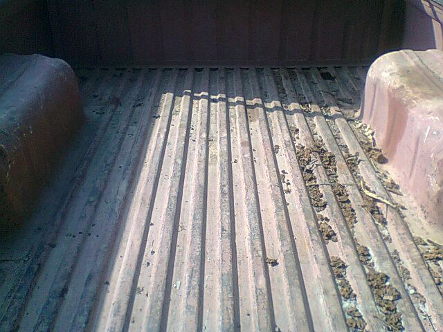 Name:  540954_490657174306158_1317175528_n.jpg
Views: 361
Size:  59.9 KB