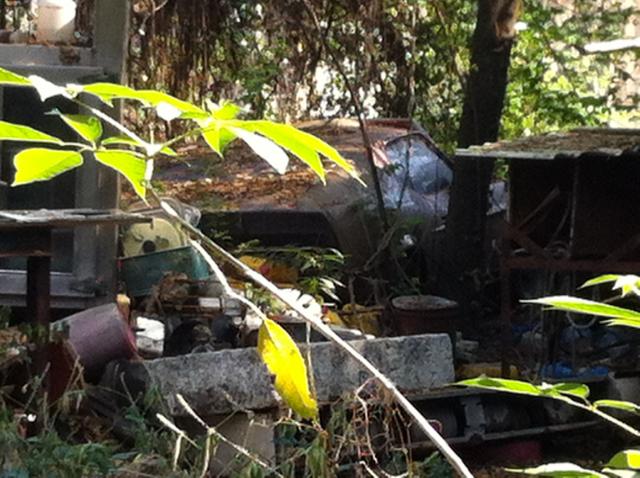 Name:  IMG_0289.jpg
Views: 414
Size:  63.6 KB