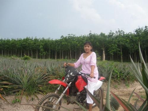 Name:  Picture 015.jpg
Views: 912
Size:  28.3 KB