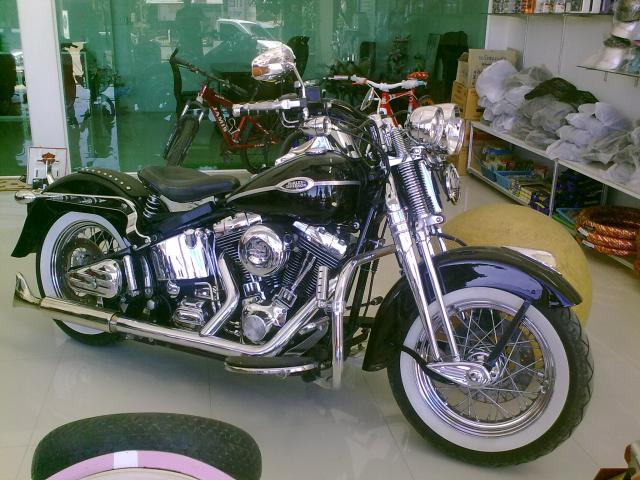 Name:  Picture 005.jpg
Views: 2092
Size:  66.3 KB