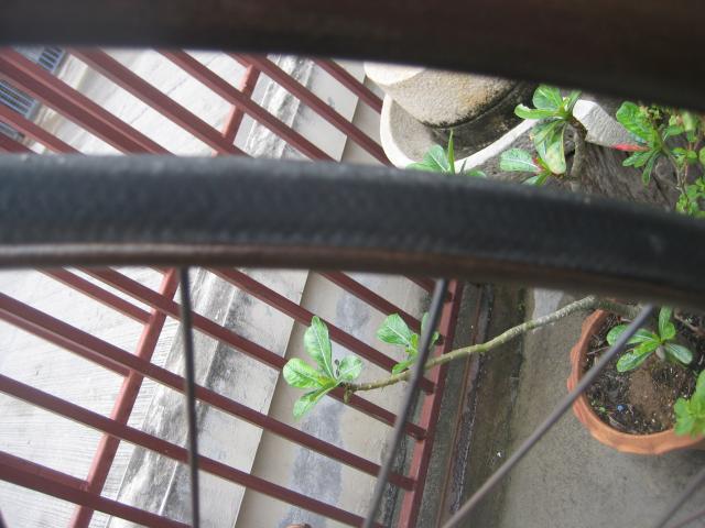 Name:  IMG_2302.jpg
Views: 541
Size:  47.2 KB