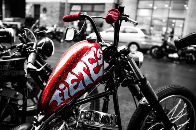 Name:  IMG_1530.jpg
Views: 1175
Size:  56.2 KB