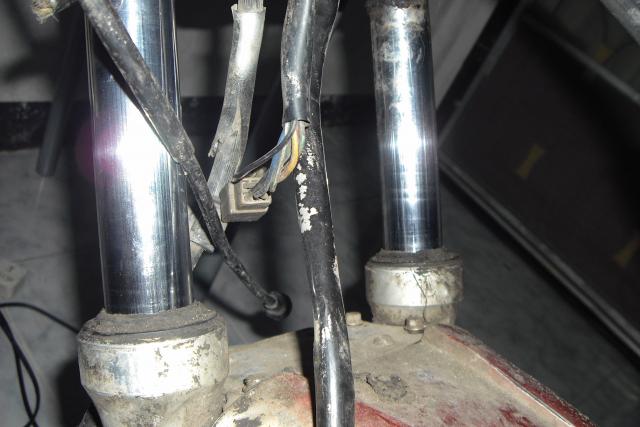 Name:  IMG_4883.jpg
Views: 571
Size:  37.3 KB