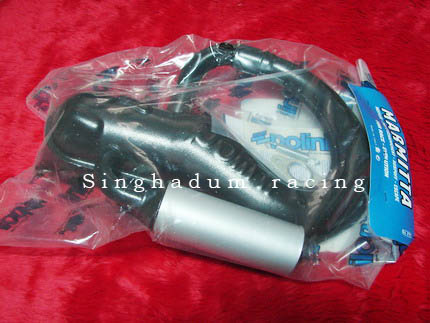 Name:  PoliniSmallframe02.jpg
Views: 977
Size:  57.1 KB