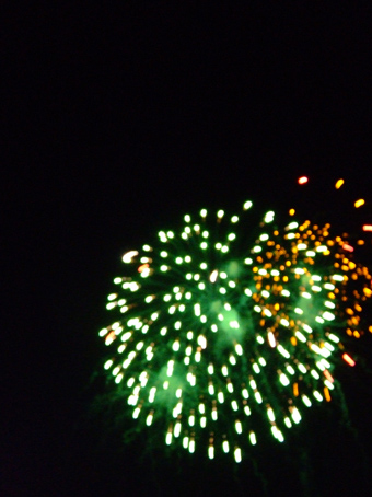 Name:  DSCF7743-1.jpg
Views: 3170
Size:  116.0 KB