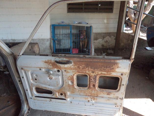 Name:  DSC02243_resize.jpg
Views: 352
Size:  44.6 KB