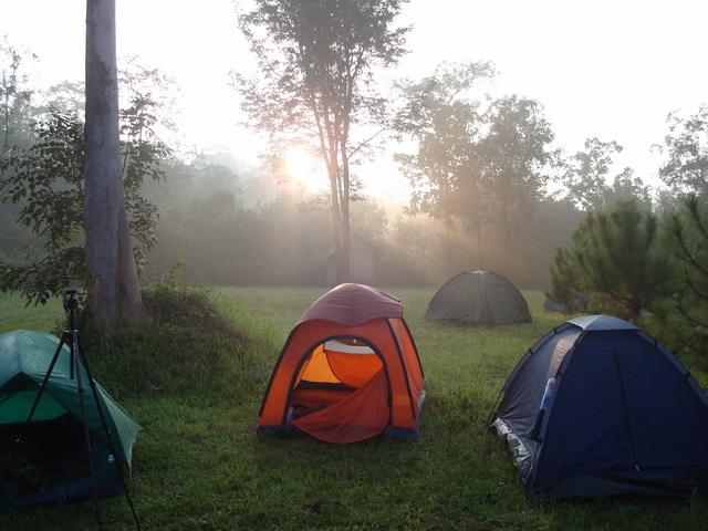 Name:  DSC01689.jpg
Views: 2521
Size:  106.4 KB