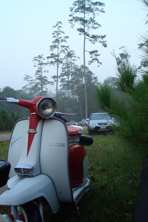 Name:  DSC01683.jpg
Views: 560
Size:  112.4 KB