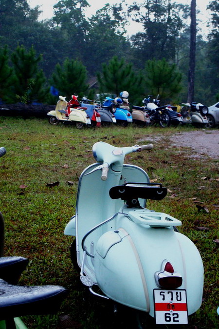 Name:  DSC01681.jpg
Views: 1004
Size:  138.5 KB