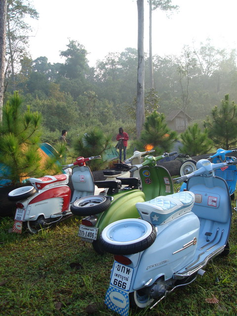 Name:  DSC01696.jpg
Views: 531
Size:  133.2 KB