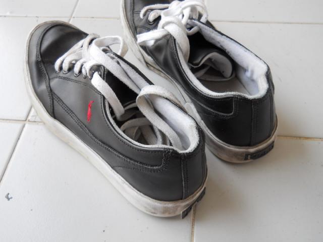 Name:  Picture 025aa.jpg
Views: 356
Size:  32.0 KB