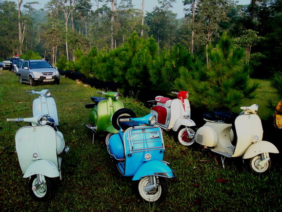 Name:  DSC01697.jpg
Views: 492
Size:  128.8 KB