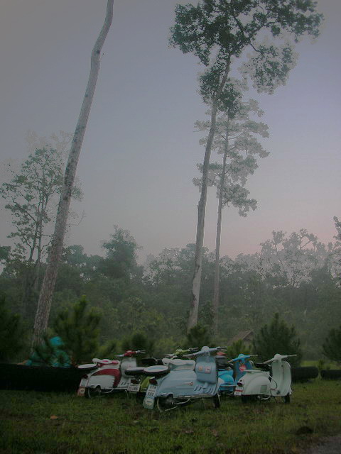 Name:  DSCN1416.jpg
Views: 507
Size:  77.6 KB